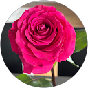 Natalia profile picture